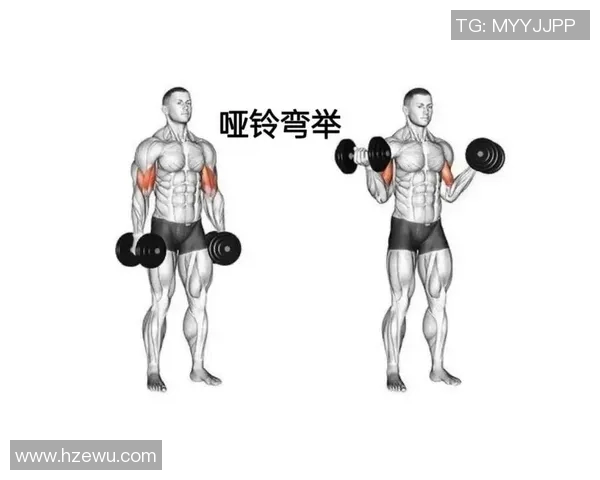 家庭健身哑铃的多种使用方法助你轻松塑造完美身材与健康生活方式